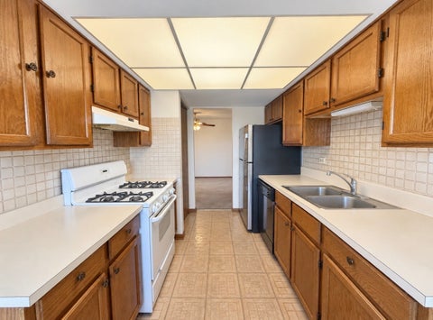 Tiny photo for 4009 W 93rd Place #4E, Oak Lawn, IL 60453 (MLS # 12760764)