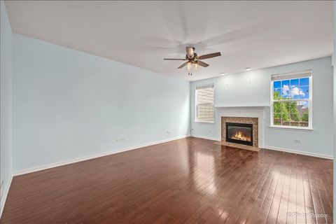 Tiny photo for 1131 Falcon Ridge Drive, Elgin, IL 60124 (MLS # 12652048)
