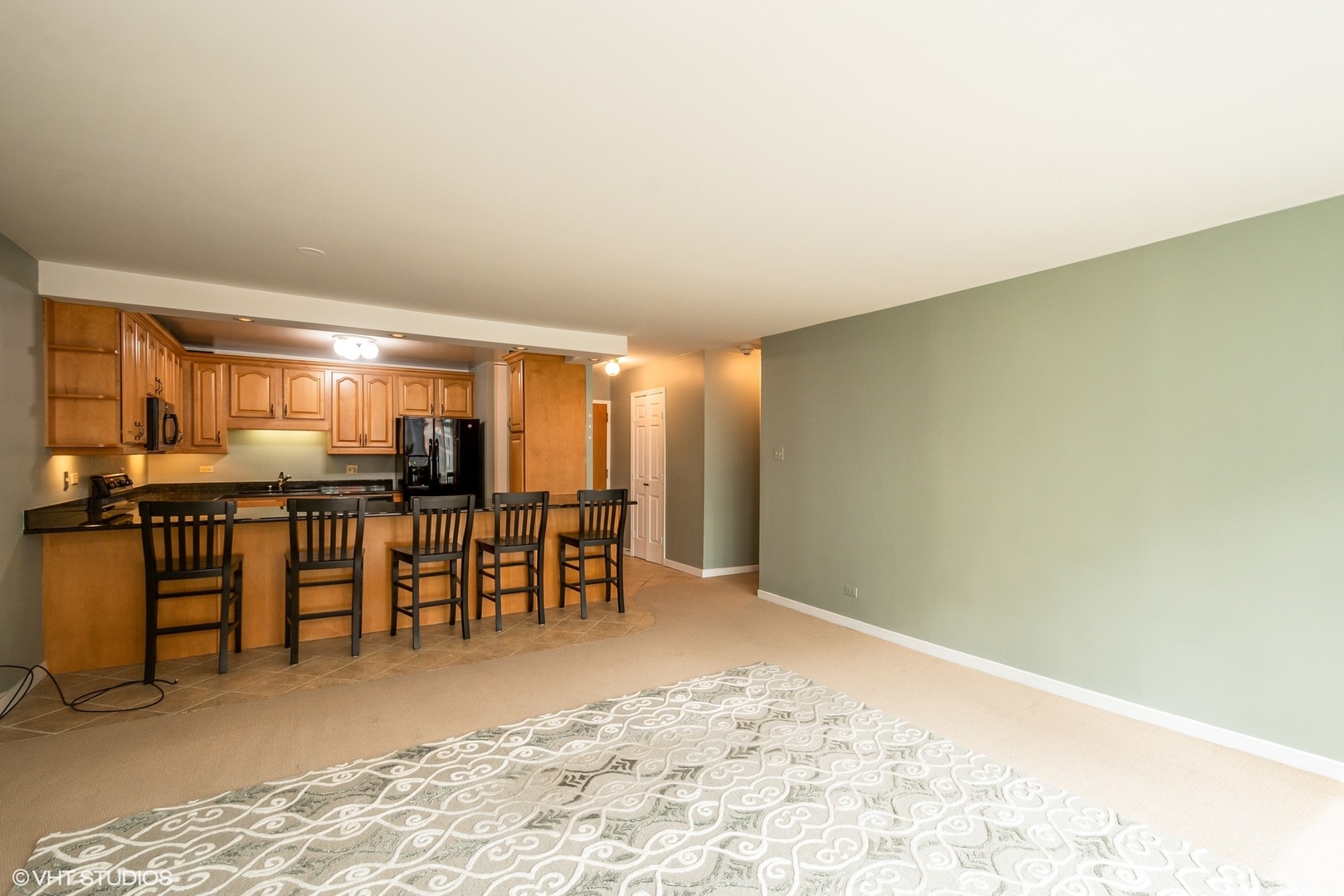 211 E Ohio Street 1009