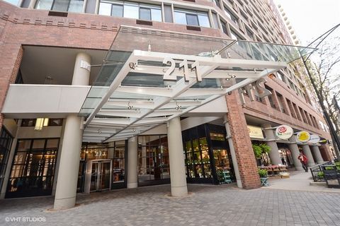 211 E Ohio Street 1009 Chicago IL 60611