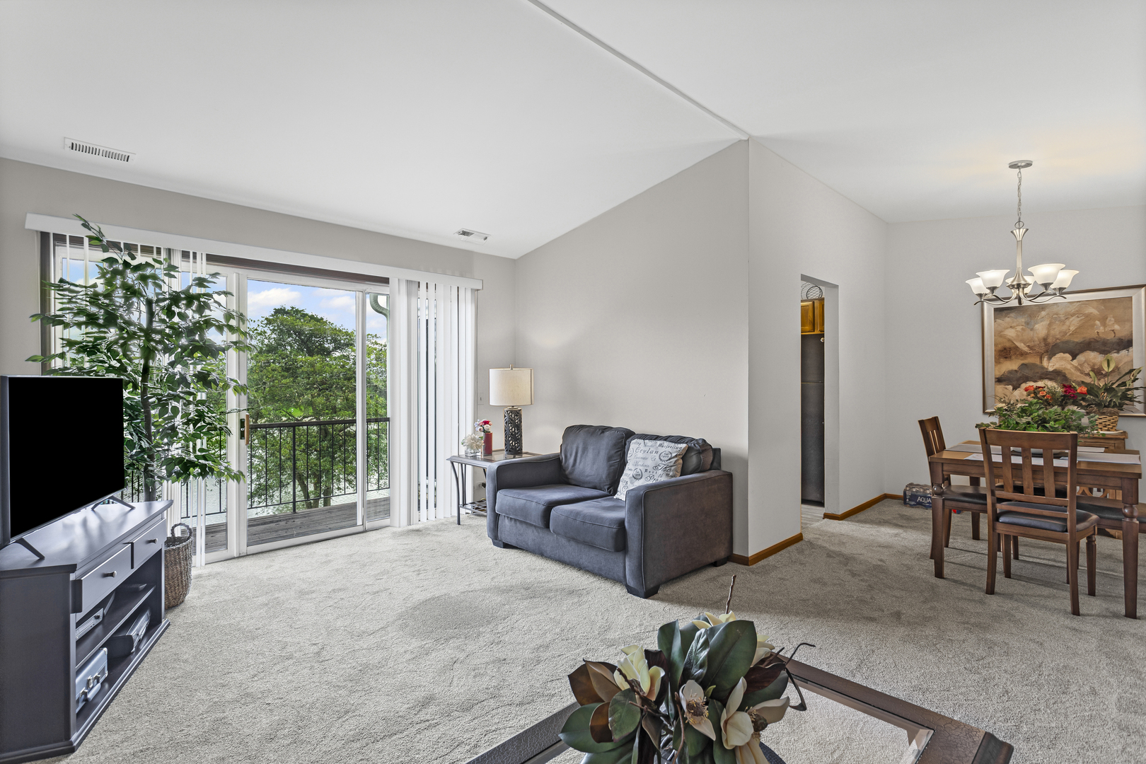 1249 Williams Port Drive 24-C