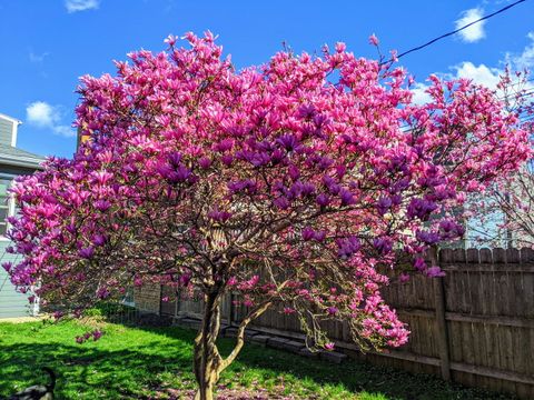 Tiny photo for 3834 N Drake Avenue, Chicago, IL 60618 (MLS # 12589594)