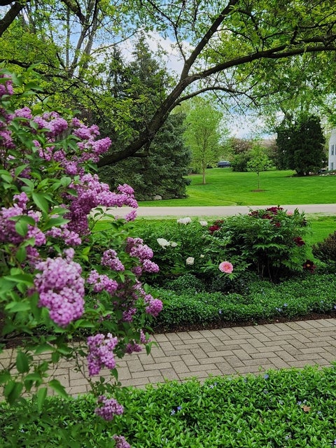 Tiny photo for 106 Carriage Road, North Barrington, IL 60010 (MLS # 12755975)
