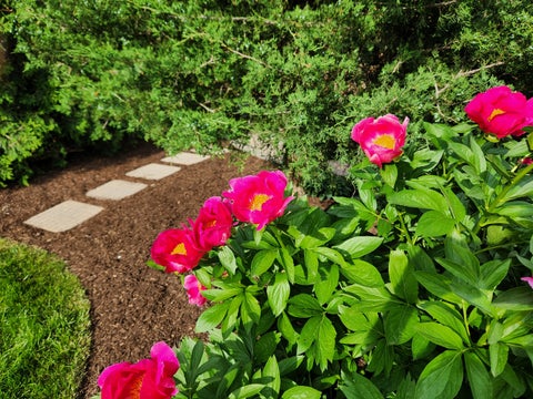 Tiny photo for 106 Carriage Road, North Barrington, IL 60010 (MLS # 12755975)