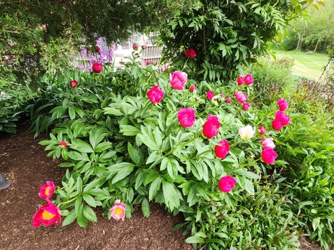 Tiny photo for 106 Carriage Road, North Barrington, IL 60010 (MLS # 12755975)