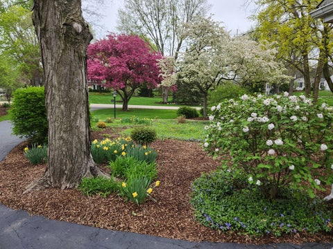Tiny photo for 106 Carriage Road, North Barrington, IL 60010 (MLS # 12755975)