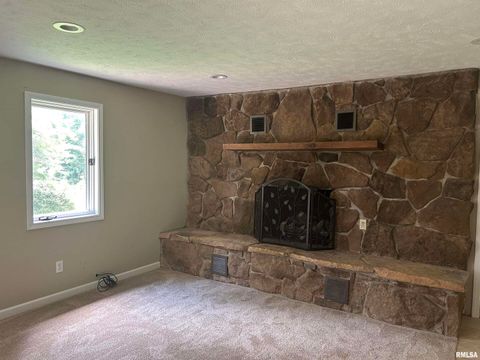 Tiny photo for 288 Heather Lynn Lane, Carbondale, IL 62902 (MLS # EB457704)