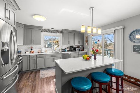 Tiny photo for 10 Farmington Court, Lake In The Hills, IL 60156 (MLS # 12578685)