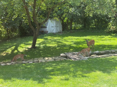 Tiny photo for 1208 Getzelman Trail, Algonquin, IL 60102 (MLS # 12726665)