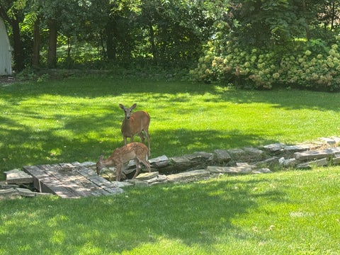 Tiny photo for 1208 Getzelman Trail, Algonquin, IL 60102 (MLS # 12726665)