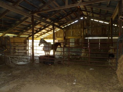 Tiny photo for 6475 Highway 145, Harrisburg, IL 62946 (MLS # 12611641)