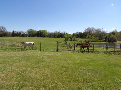 Tiny photo for 6475 Highway 145, Harrisburg, IL 62946 (MLS # 12611641)