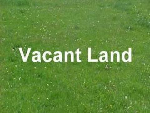 7052 S Throop Avenue Chicago IL 60636