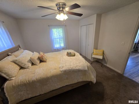 Tiny photo for 2805 COLLEGE Street, Mt Vernon, IL 62864 (MLS # EB458435)