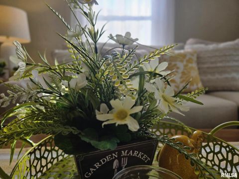 Tiny photo for 2805 COLLEGE Street, Mt Vernon, IL 62864 (MLS # EB458435)