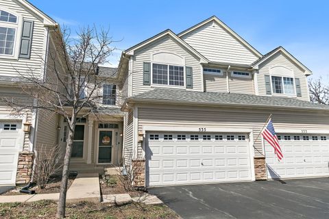 Photo of 535 Telluride Drive, Gilberts, IL 60136 (MLS # 12613038)