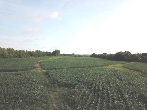 MLS: 12694540