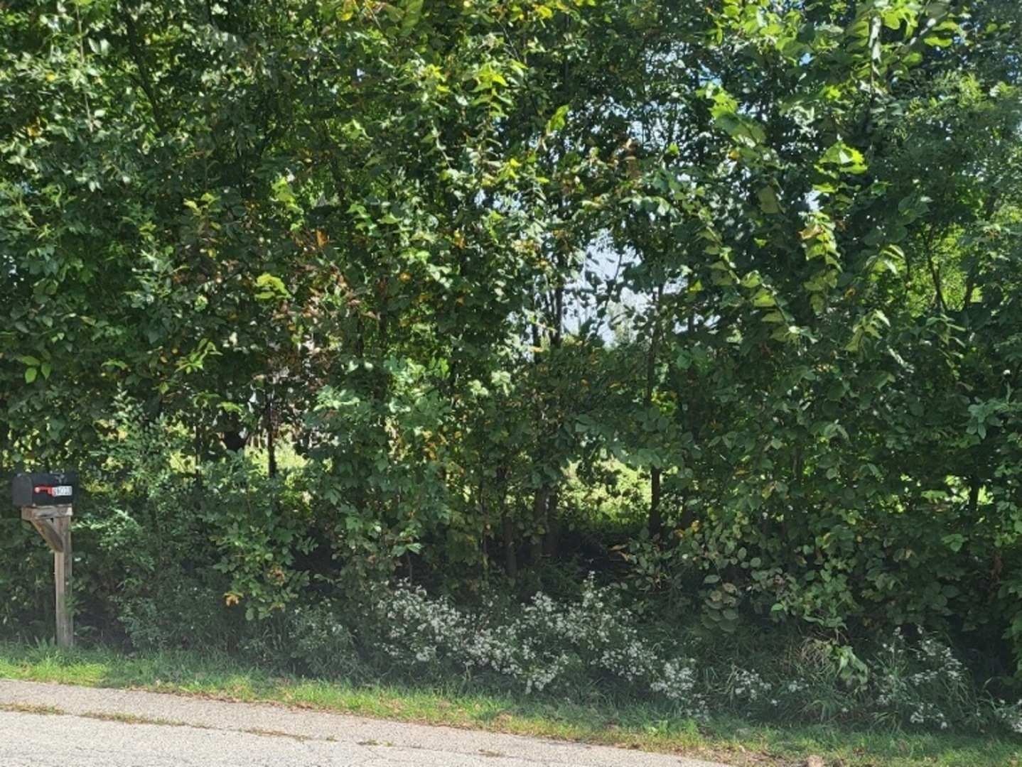 6N041 Keeney Road