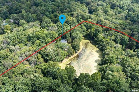 Tiny photo for 14 Egret Lake Road, Carbondale, IL 62903 (MLS # EB459037)