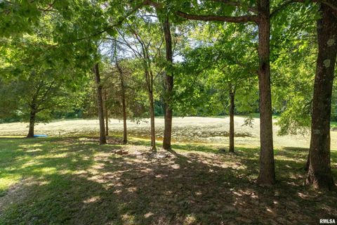 Tiny photo for 14 Egret Lake Road, Carbondale, IL 62903 (MLS # EB459037)