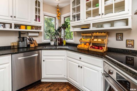 Tiny photo for 14 Egret Lake Road, Carbondale, IL 62903 (MLS # EB459037)