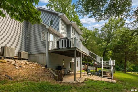 Tiny photo for 14 Egret Lake Road, Carbondale, IL 62903 (MLS # EB459037)