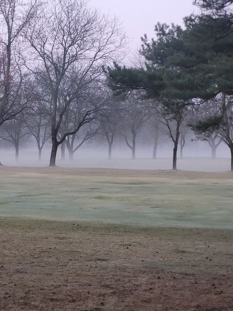 Tiny photo for 196 Shoreline Road, Lake Barrington, IL 60010 (MLS # 12621512)