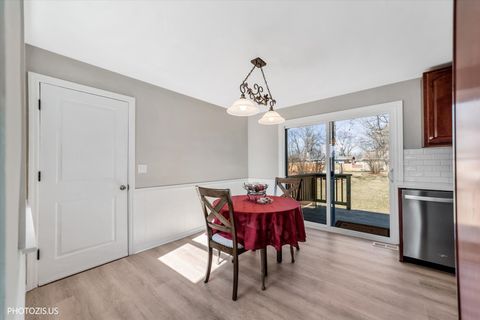 Tiny photo for 112 Pearl Street, Cary, IL 60013 (MLS # 12574910)