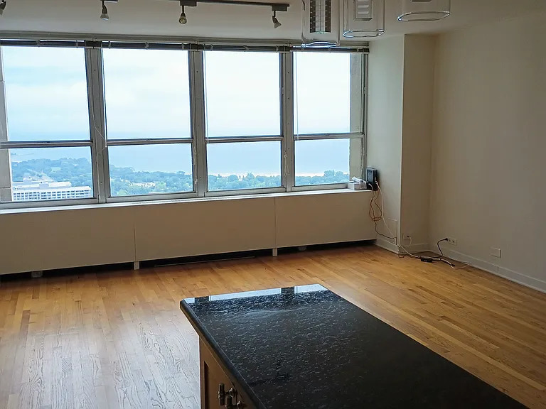 655 W Irving Park Road 5108
