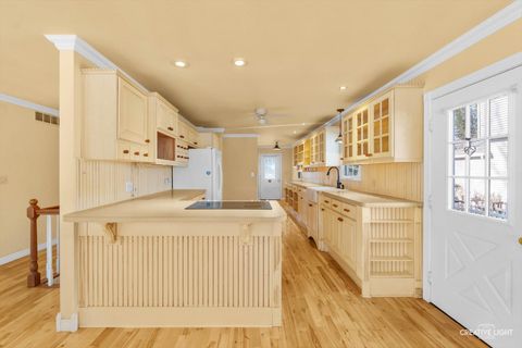 Tiny photo for 437 Holiday Drive, Somonauk, IL 60552 (MLS # 12551321)