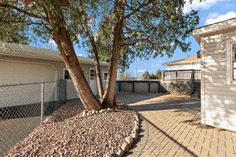 Tiny photo for 10506 S Michael Drive, Palos Hills, IL 60465 (MLS # 12570600)