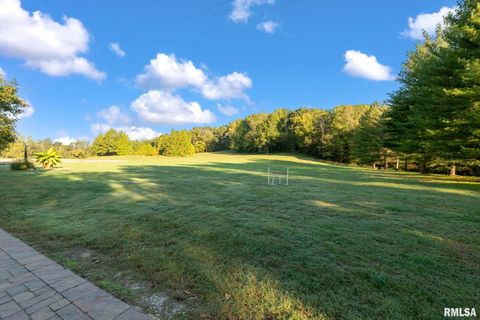 Tiny photo for 1810 Berryville Road, Jonesboro, IL 62952 (MLS # EB460246)