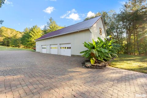 Tiny photo for 1810 Berryville Road, Jonesboro, IL 62952 (MLS # EB460246)