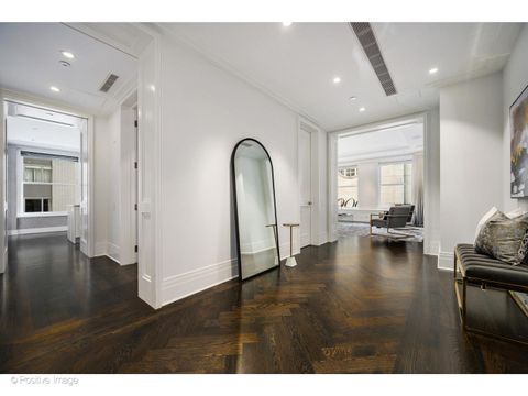 Tiny photo for 159 E Walton Place #5G, Chicago, IL 60611 (MLS # 12483202)