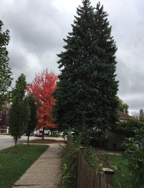 Tiny photo for 3348 N Keeler Avenue, Chicago, IL 60641 (MLS # 12637652)