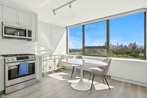 Tiny photo for 2800 N Lake Shore Drive #1116, Chicago, IL 60657 (MLS # 12468746)