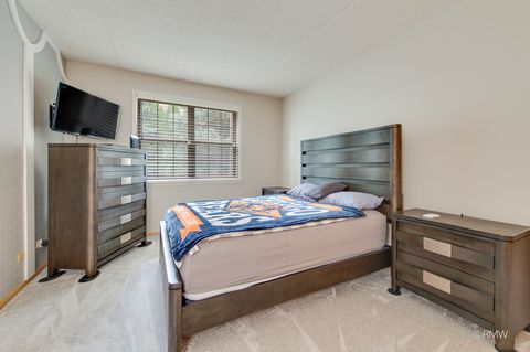 Tiny photo for 223 Glen Ridge Lane #1B, Bloomingdale, IL 60108 (MLS # 12621709)