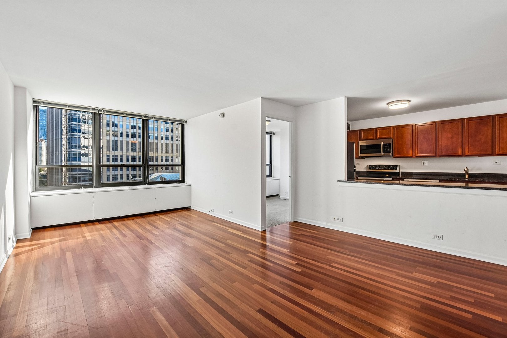222 E Pearson Street 1006