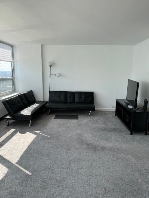 4800 S Chicago Beach Drive 2710N