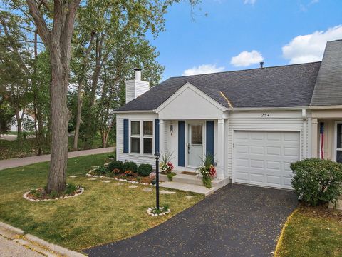 Tiny photo for 254 W Fairfield Court, Palatine, IL 60067 (MLS # 12493629)