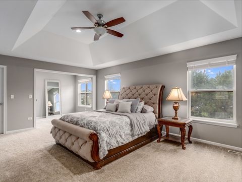 Tiny photo for 13002 Staggs Leap Trail, Plainfield, IL 60585 (MLS # 12546891)