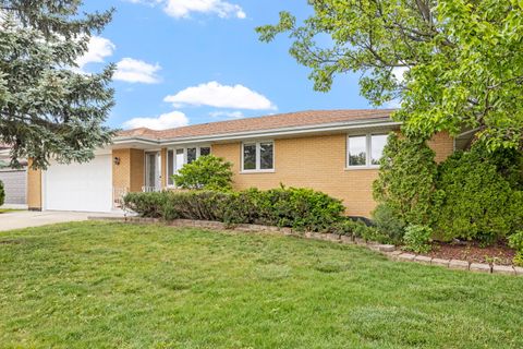 8862 167th Street Orland Hills IL 60487