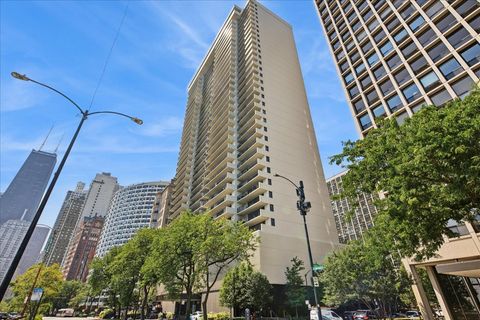 1212 N Lake Shore Drive 34BN Chicago IL 60610