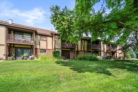 Tiny photo for 1623 SALISBURY Court #C, Wheaton, IL 60187 (MLS # 12700289)