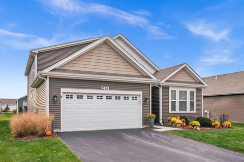 Tiny photo for 239 Durham Street, North Aurora, IL 60542 (MLS # 12557868)