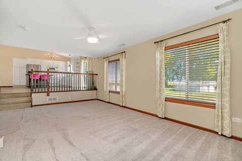 Tiny photo for 25441 S Mallard Drive, Channahon, IL 60410 (MLS # 12472938)