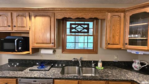 Tiny photo for 12196 LAGUNA Drive, Marion, IL 62959 (MLS # EB459507)