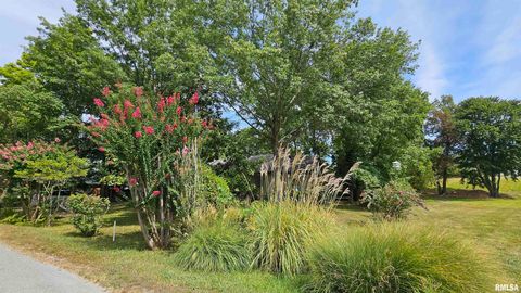 Tiny photo for 12196 LAGUNA Drive, Marion, IL 62959 (MLS # EB459507)