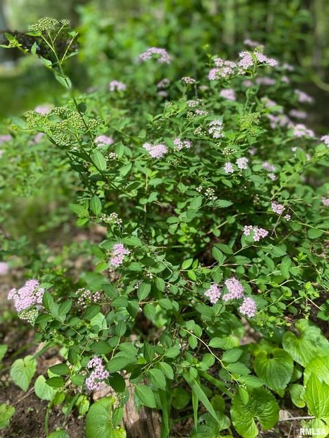 Tiny photo for 12196 LAGUNA Drive, Marion, IL 62959 (MLS # EB459507)