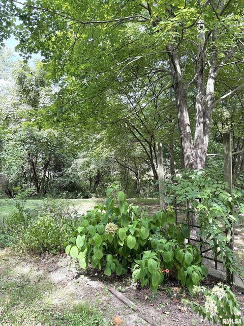 Tiny photo for 12196 LAGUNA Drive, Marion, IL 62959 (MLS # EB459507)